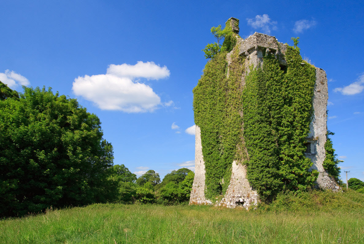 Wallstown Castle, Ireland